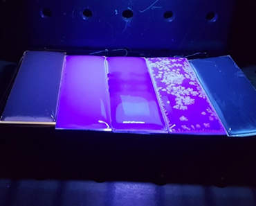Desinfektionsforschung mit UV-LEDs
